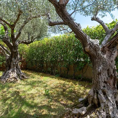 Villa Villa Rosini *